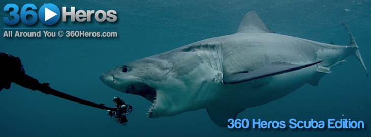 360-Shark