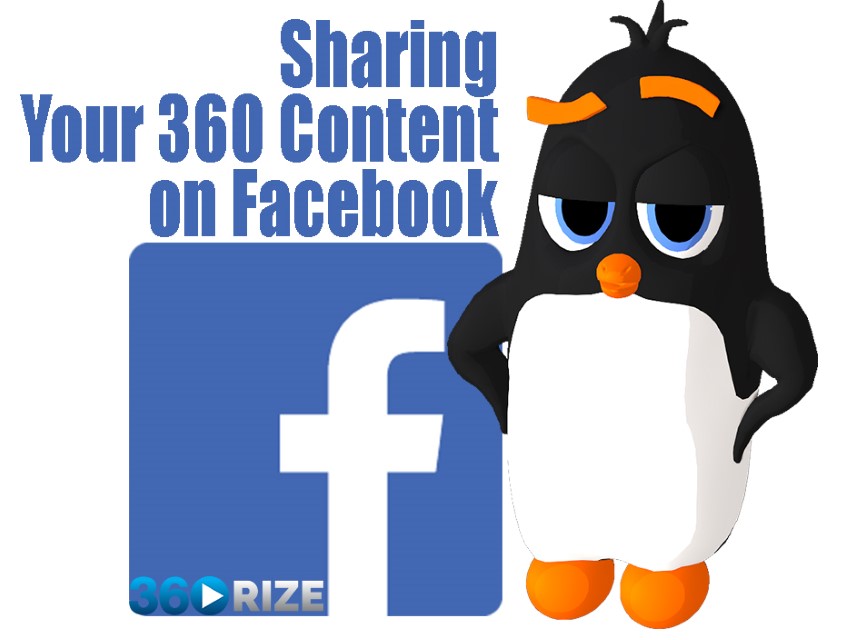 360Rize 360Penguin Sharing your 360 Content